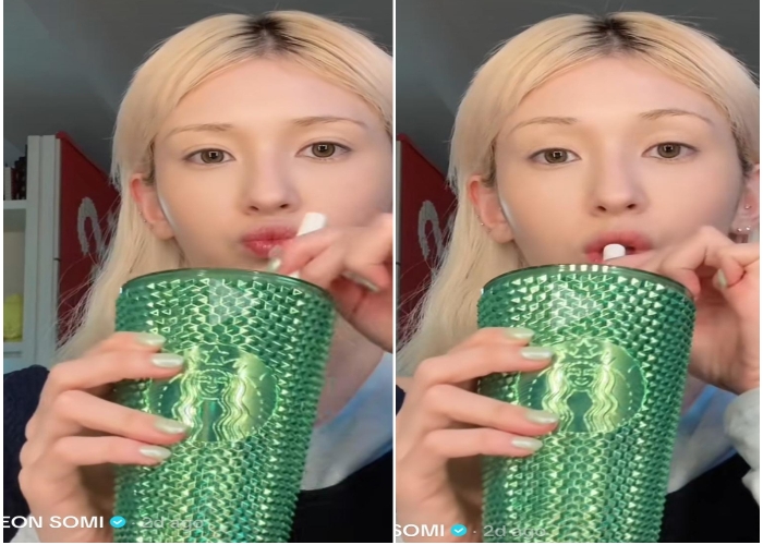 Memposting Konten dengan Menggunakan Brand Pro Israel, Beberapa Idol Kpop Seperti Jeon Somi Tuai Cibiran