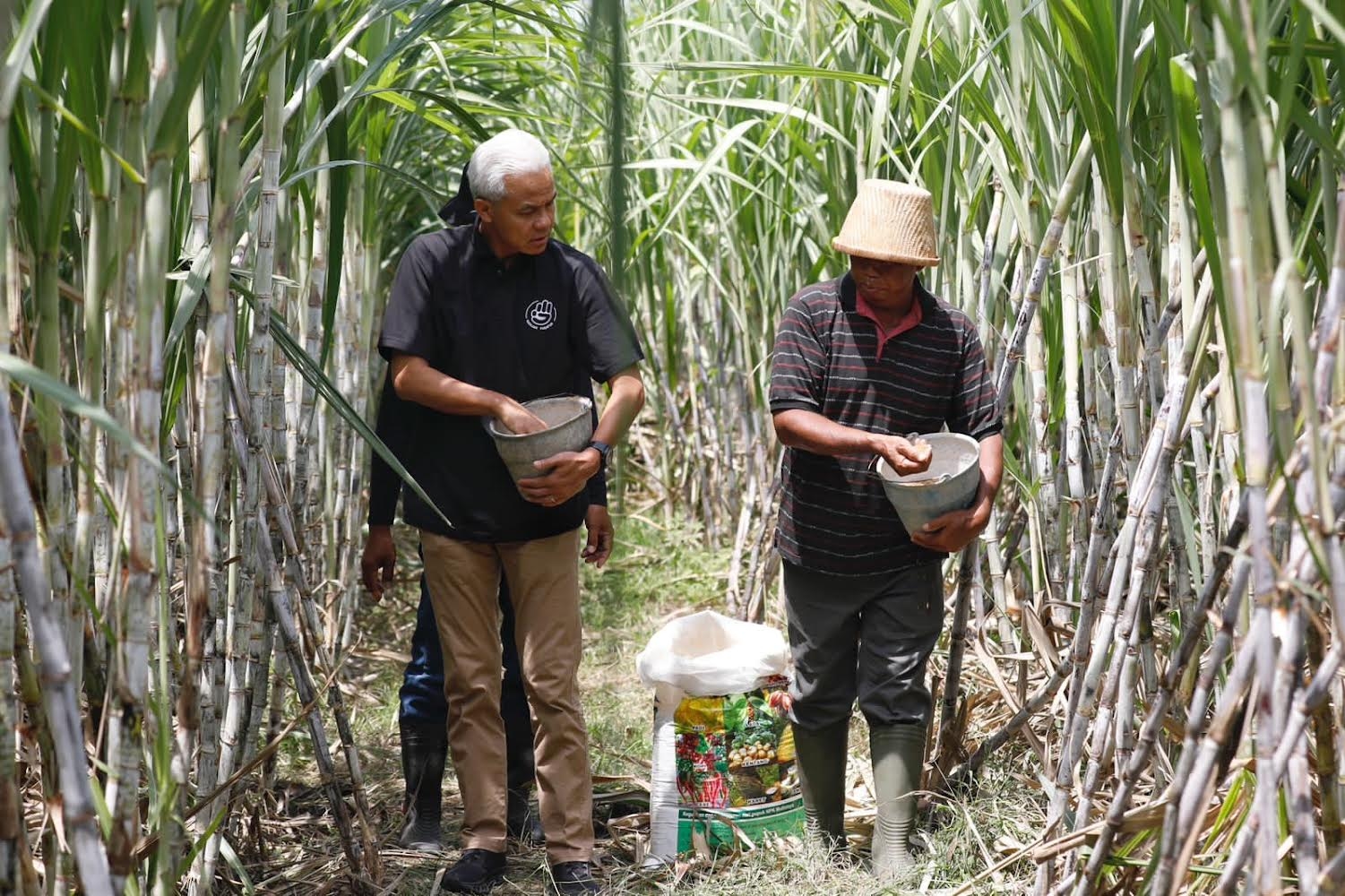 Pemerintah Bidik Pembukaan 70.000 Hektare Lahan Tebu di Jatim