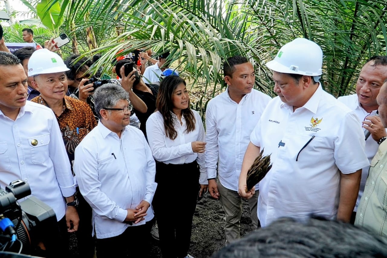 Biayai Replanting, Menko Airlangga Tawarkan Skema KUR ke Petani Sawit