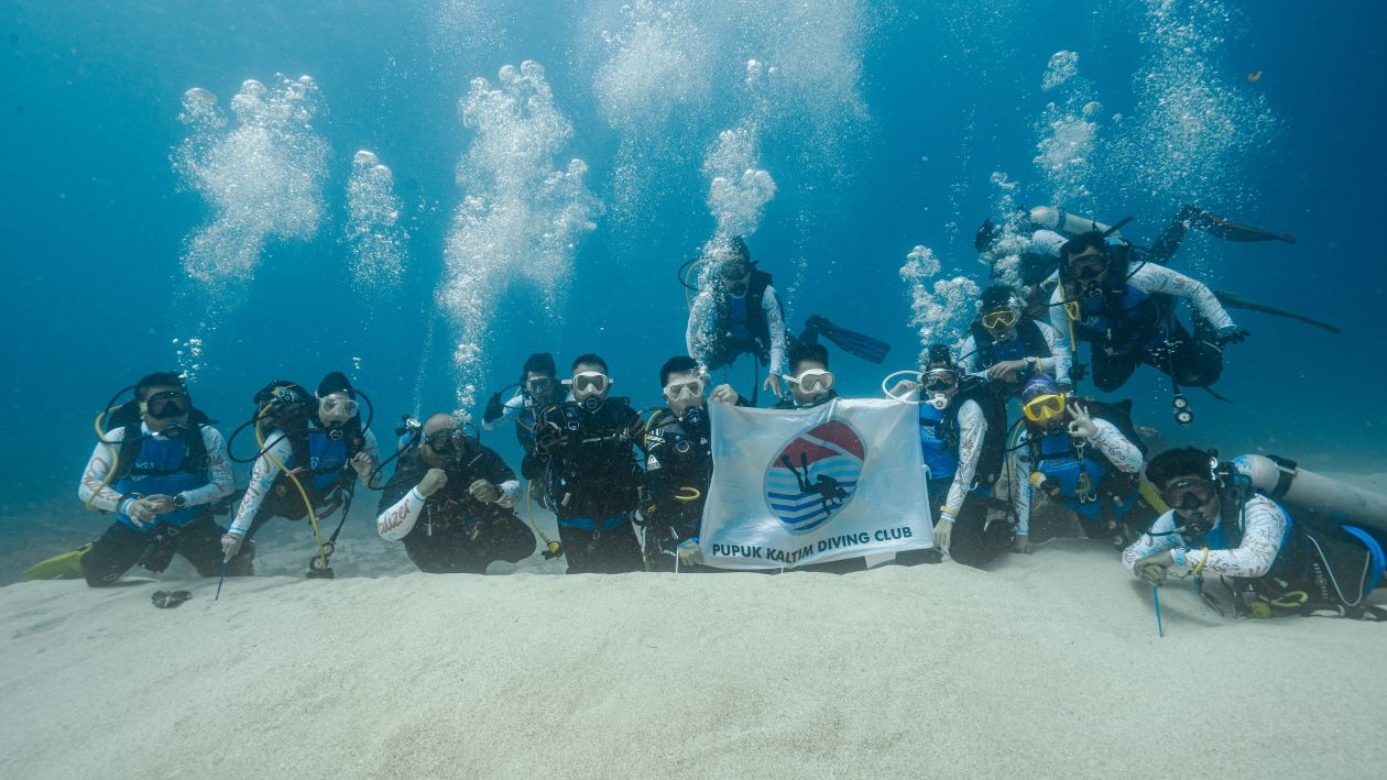 Jaga Ekosistem Perairan, PKT Turunkan Ratusan Media Terumbu dan Tukik di Maratua