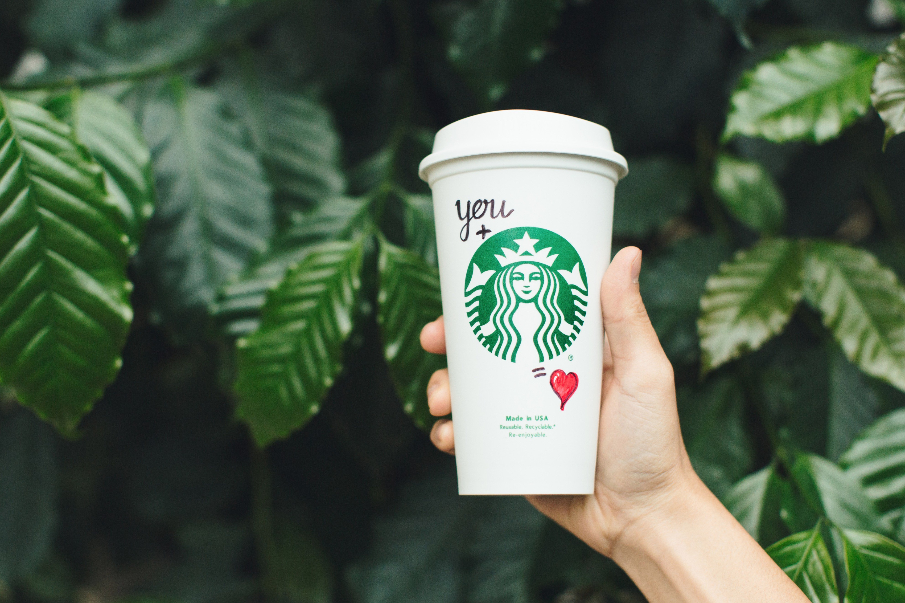 Starbucks Bakal PHK Karyawan Besar-besaran