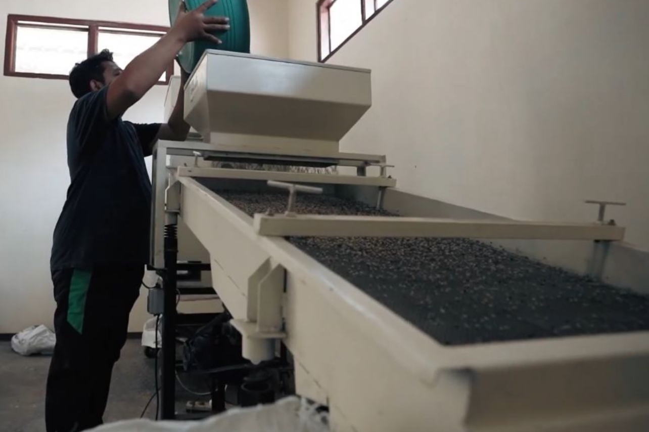 Perjalanan Inspiratif Petani Lada Purbalingga yang Menembus Pasar Internasional