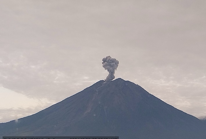 Erupsi Gunung Semeru, Abu Vulkanik Setinggi 1.100 Meter Meluncur