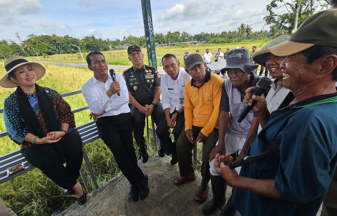 Harga Gabah Anjlok di Bantul, Titiek Soeharto Desak Bulog Serap Hasil Panen Sesuai HPP
