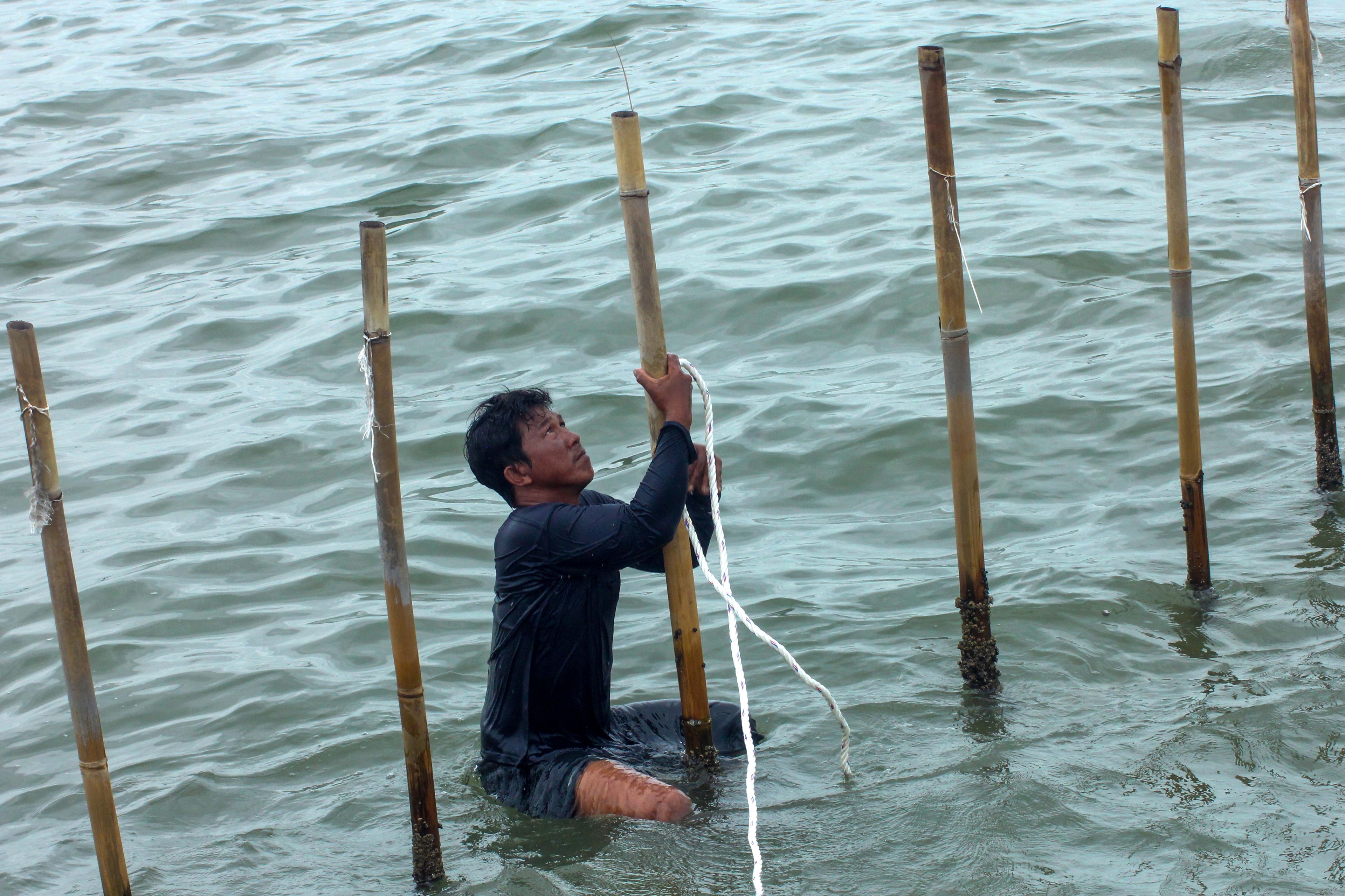 PLN Listriki 49.174 Pelanggan Sektor Perikanan dan Kelautan Sepanjang 2024