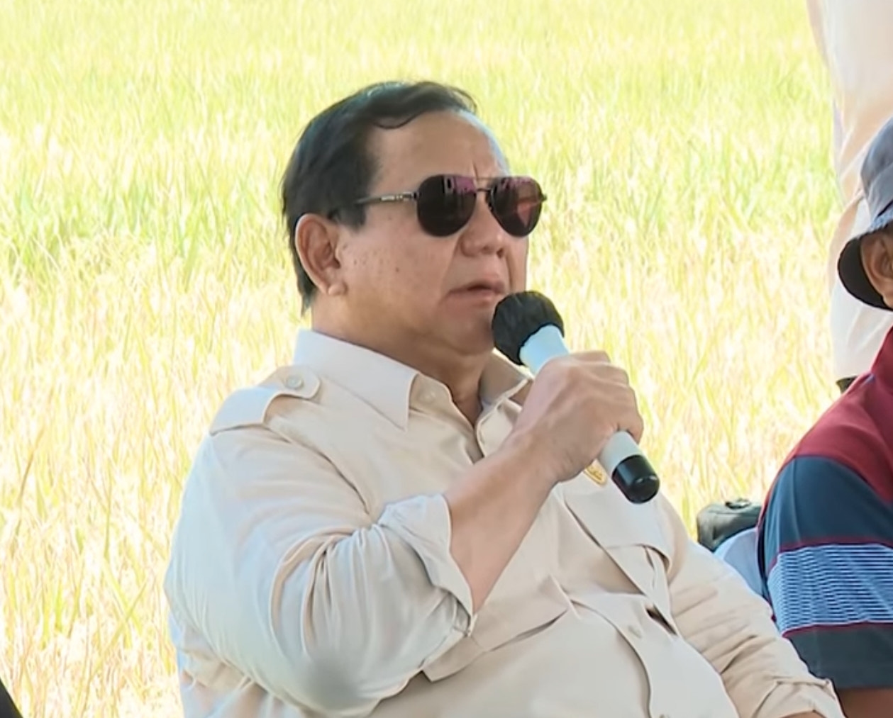 Prabowo Bangga Produksi Beras dan Jagung Tertinggi Sepanjang Sejarah, Swasembada Pangan Bukan Mimpi