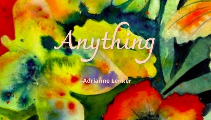 Download Lagu Anything Adrianne Lenker Beserta Lirik dan Terjemahan Bahasa Indonesia