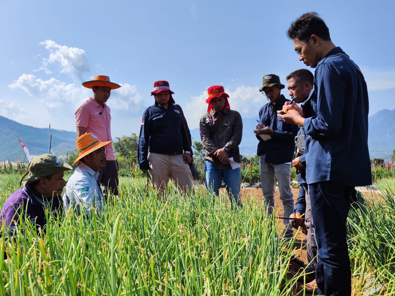 Berdampak Besar ke Petani, Ewindo Perbanyak Learning Farm 