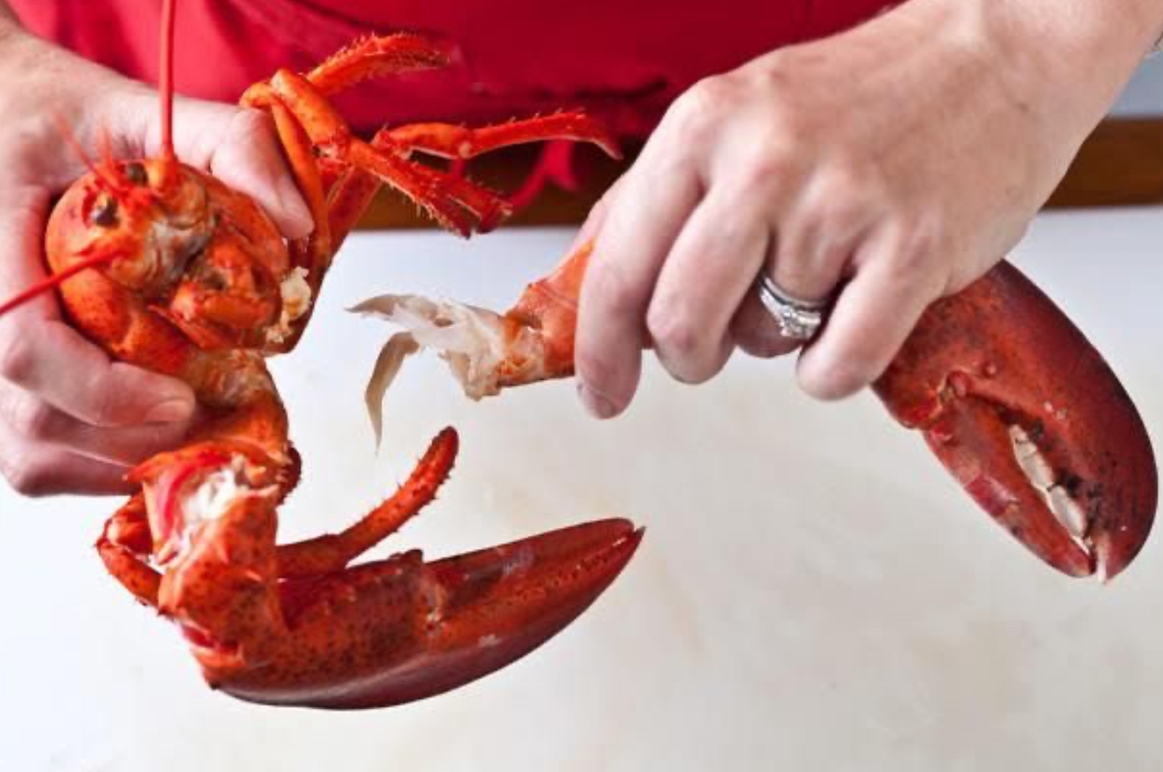 Lapar Seafood? Ini 5 Tempat Makan Seafood Terbaik di Jakarta yang Wajib Kamu Coba!