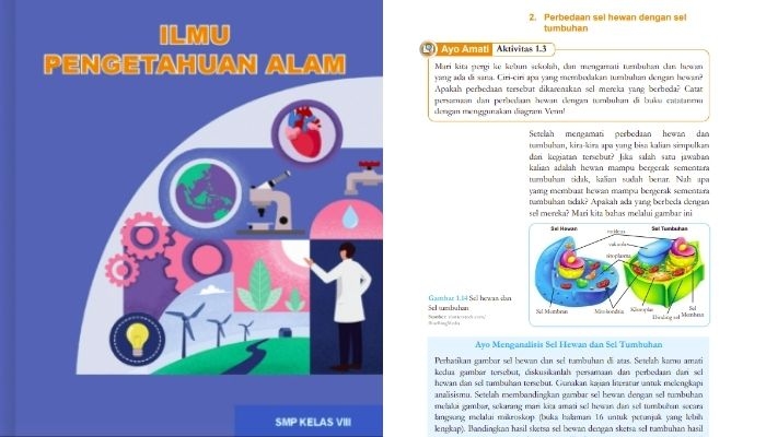 Kunci Jawaban IPA Kelas 8 Halaman 13: Memahami Sel Hewan dan Tumbuhan