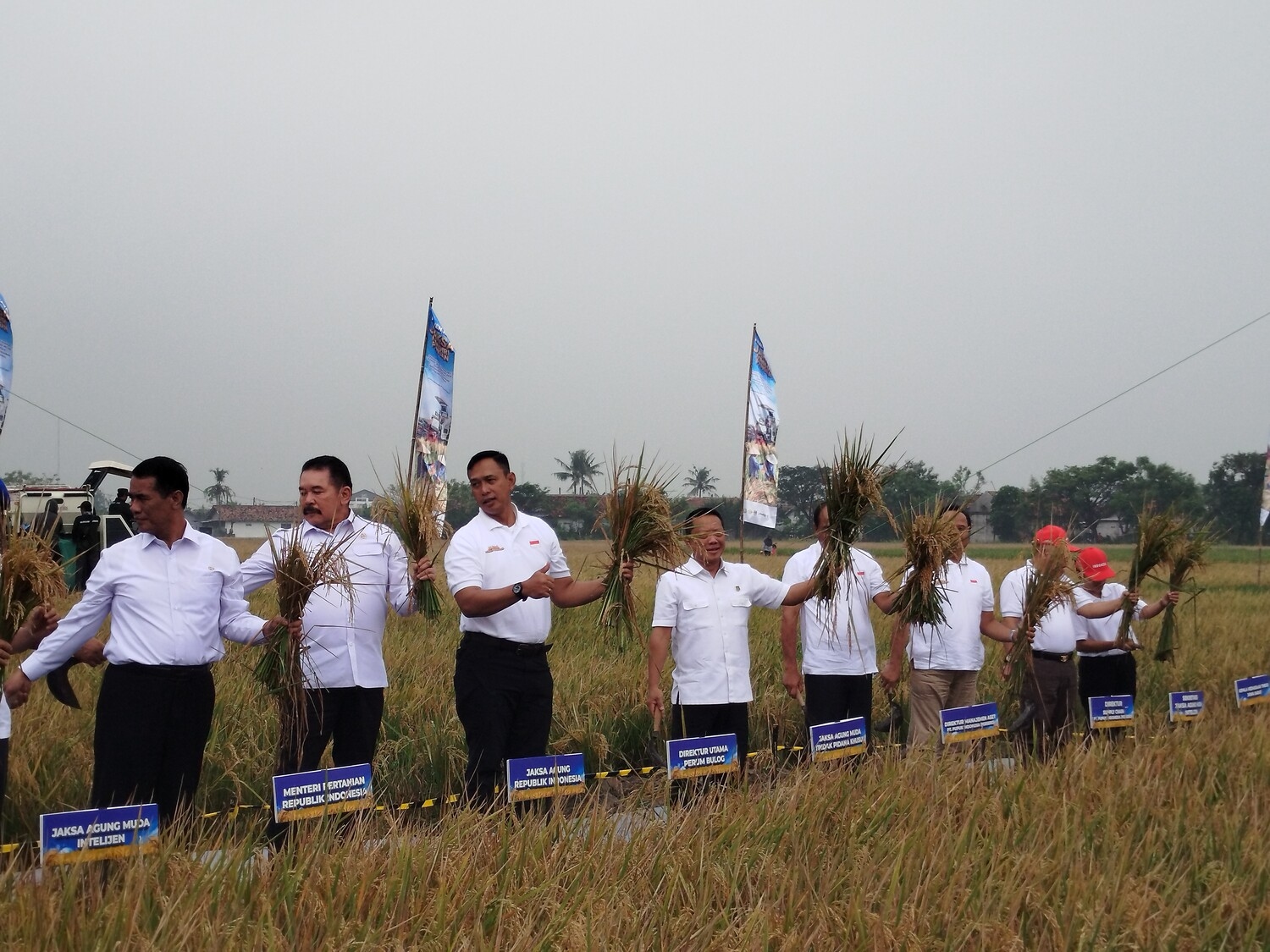  Perkuat Cadangan Beras, Bulog Serap Panen Program Jaksa Mandiri Pangan Hingga 3,9 Juta Ton