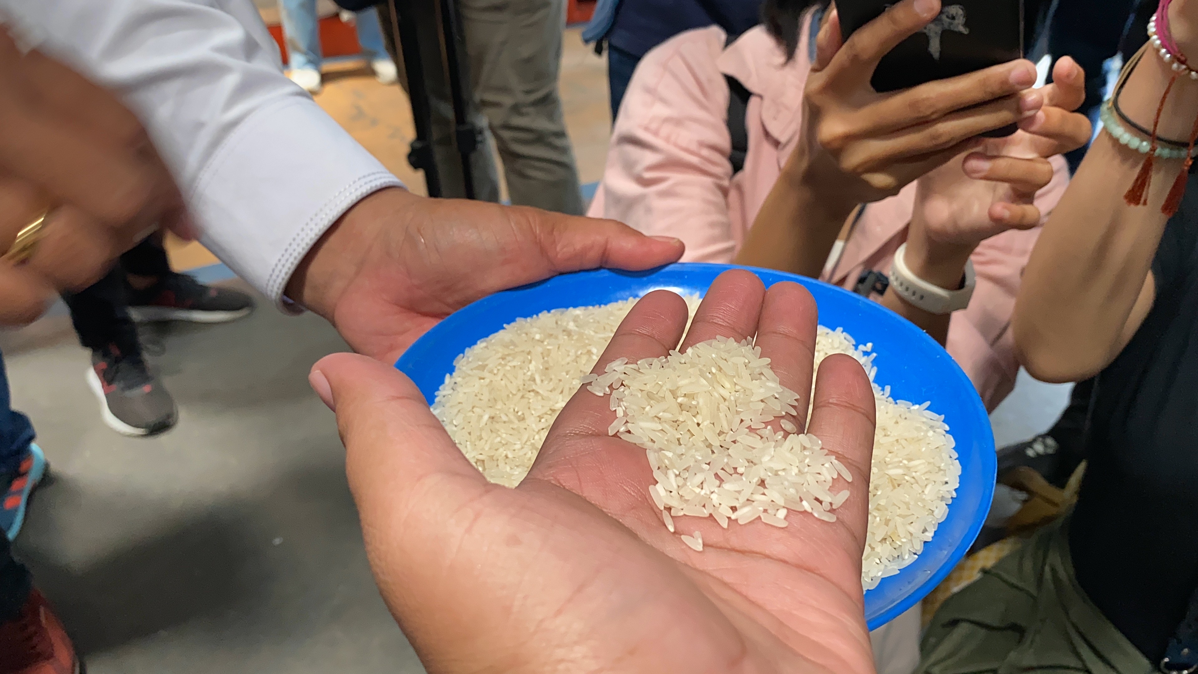 Bulog: Beras Bermasalah Jadi Pakan