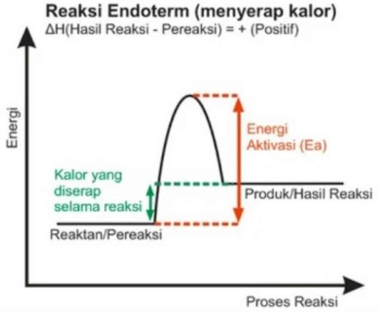 Reaksi Endoterm: Saat Panas Lingkungan Terserap ke Dalam Sistem
