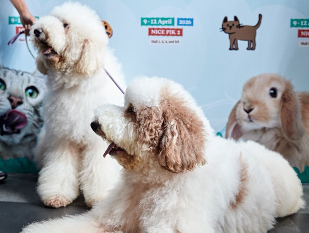 PAW Expo 2026, Wajah Baru PIK sebagai Destinasi Ramah Hewan