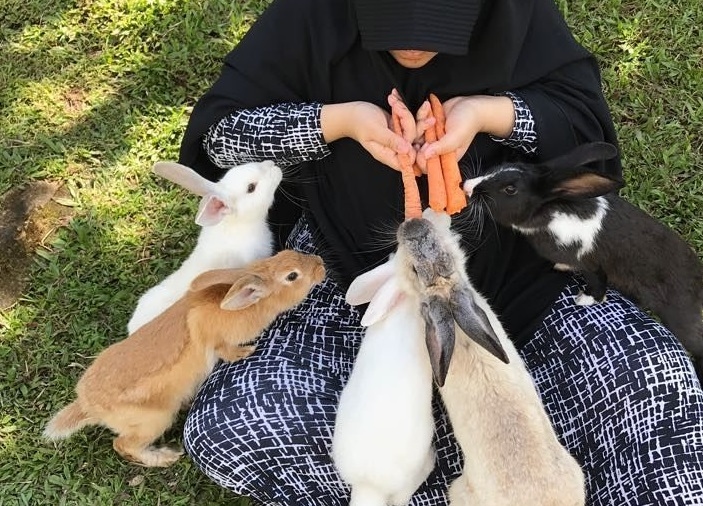 5 Cara Mengobati Kelinci Terkena Jamur Kulit, Simak Selengkapnya