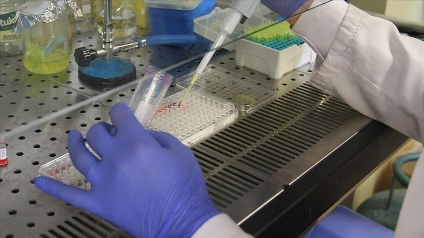 Australia Laporkan Kasus Pertama Virus Japanese Encephalitis pada Nyamuk di Musim Panas Ini