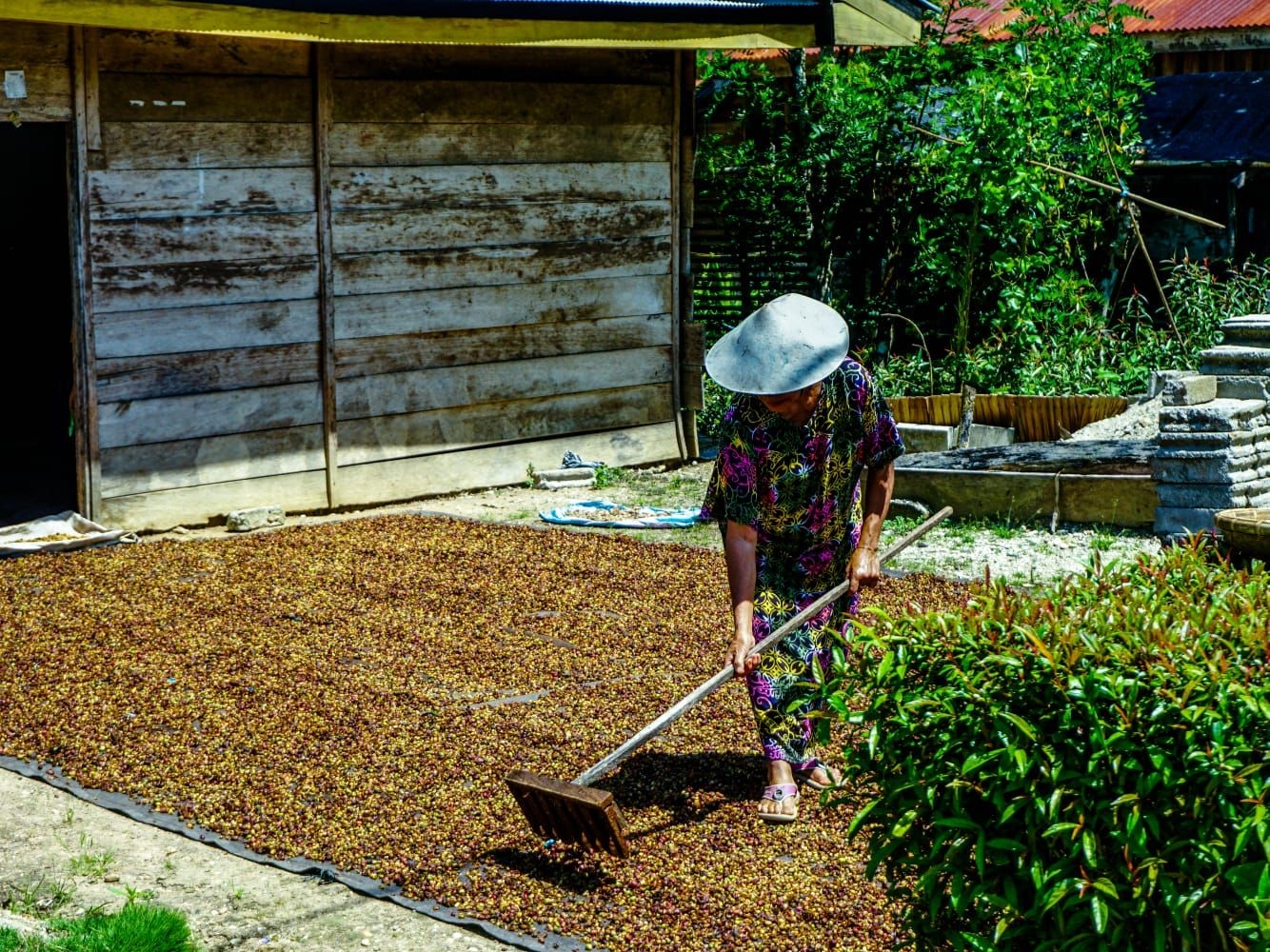 Zulhas Bidik Swasembada Kakao Lewat Perkebunan Rakyat