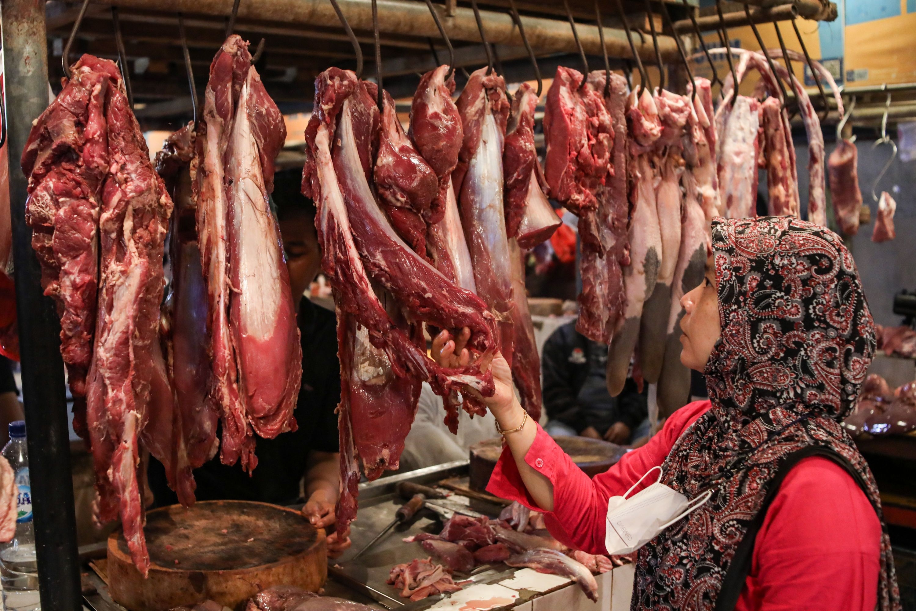 Kuota Impor Daging Sapi 2026 Didominasi BUMN, Swasta Mengeluh