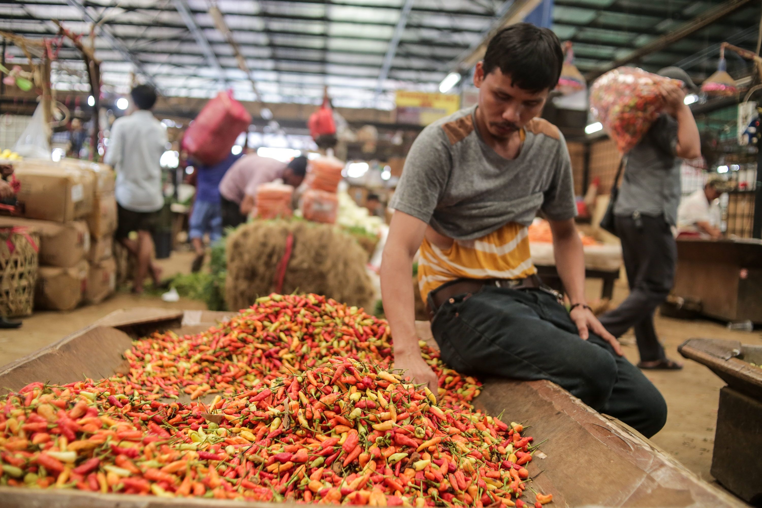 Menanti Ramadan 1447 H Saat Harga Cabai Kian Menyala!