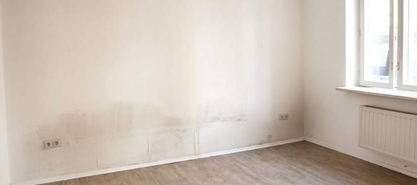 Kenapa Tembok Rumah Lembap Meski Tidak Bocor? Ini Penyebab dan Solusinya