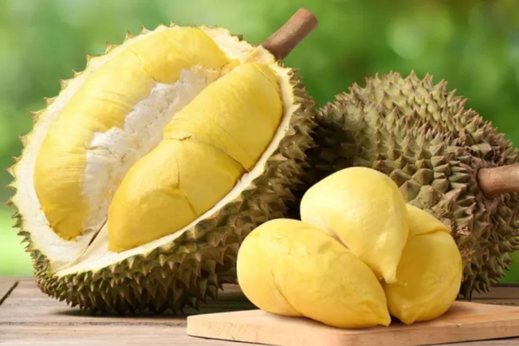 Mengapa Pohon Durian Susah Berbuah Meski Sudah Tua? Ini Penyebab dan Solusinya
