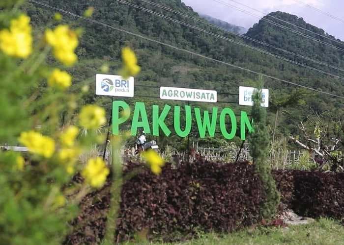 Desa Pajambon Kuningan Jadi Contoh Transformasi Ekonomi Desa Berbasis Potensi Lokal, Bukti Sukses Program Desa BRILiaN