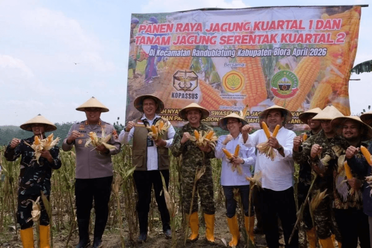  Jaga Harga dan Pasokan, Bulog Serap Seluruh Jagung Petani Blora