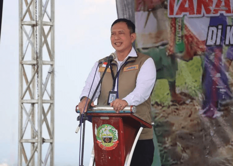 Bulog Pastikan Serap 4 Juta Ton Gabah 2026, Stok Beras Capai 4,4 Juta Ton