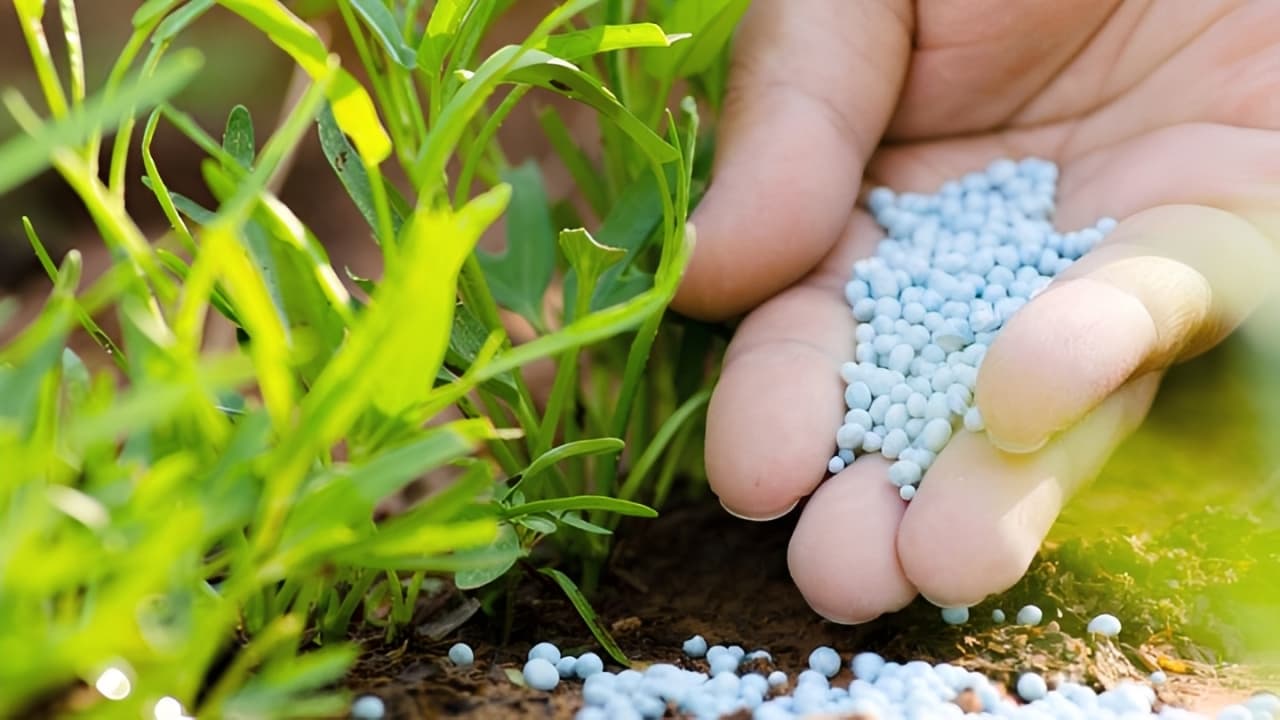 3 Negara Minta Pupuk Urea Indonesia, Krisis Hormuz Dongkrak Peluang Ekspor