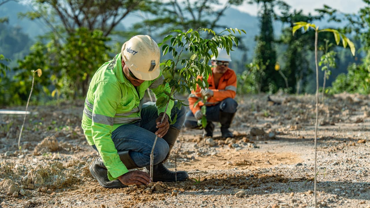 NHM Pulihkan 232,69 Hektar Lahan Bekas Tambang, Bukti Nyata Komitmen ESG Berkelanjutan