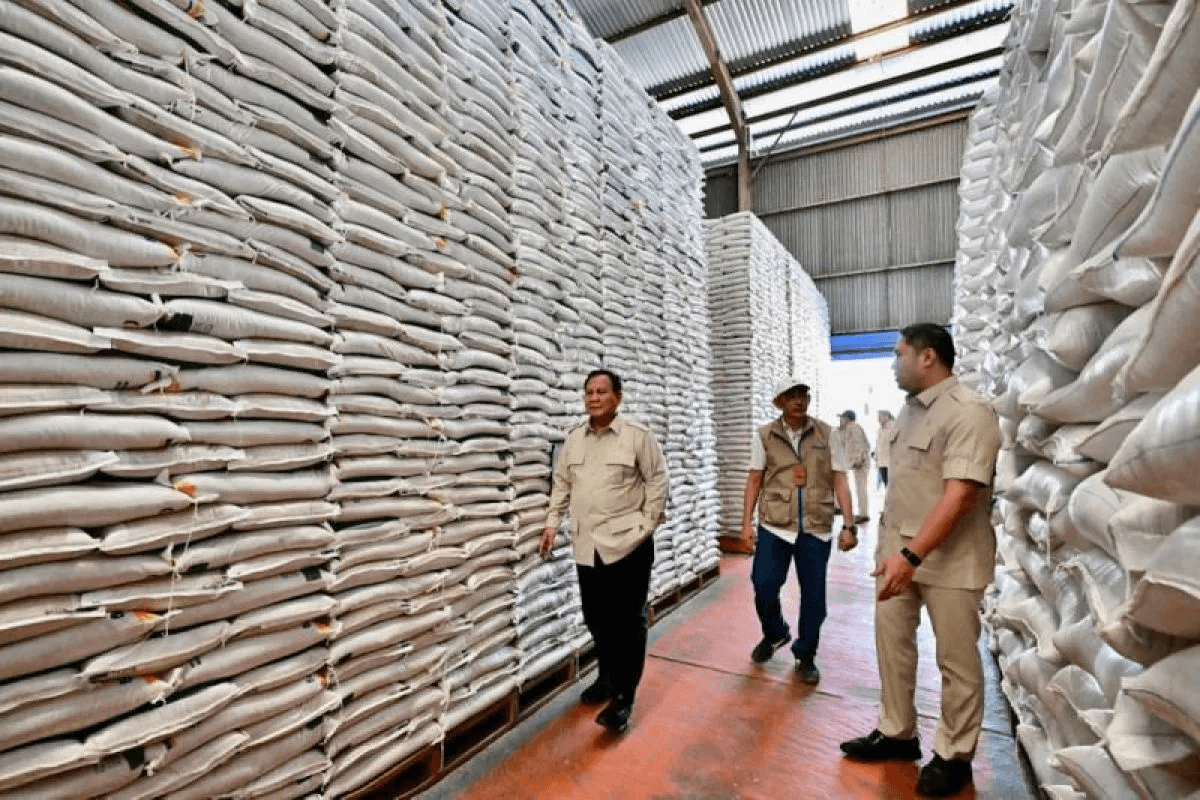 Stok Melimpah, Pemerintah Punya Ruang Tekan Harga Beras
