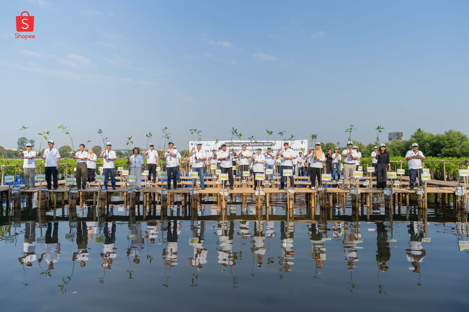 Shopee dan BenihBaik Gandeng Pemprov Jakarta Tanam 2.000 Mangrove Hasil Donasi 50.000 Pengguna