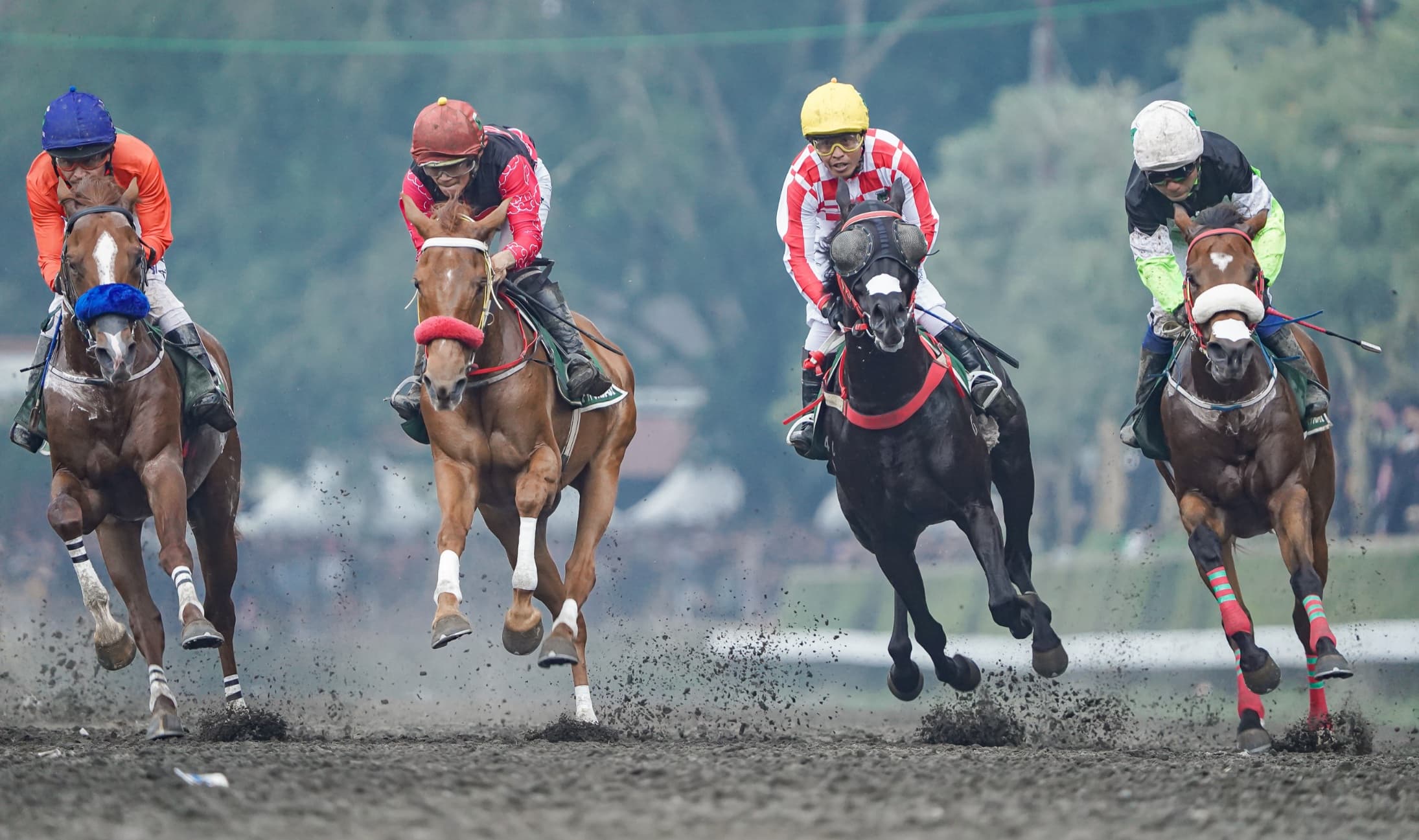 SARGA.CO Dorong Pacuan Kuda Indonesia Menuju Panggung Dunia lewat Indonesia’s Horse Racing