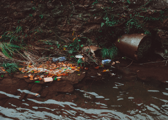 Jenis-jenis Polusi Dan Cara Menguranginya Di Lingkungan