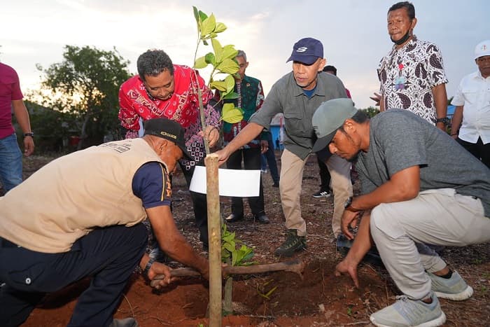 Penanaman Bibit Nangka Madu di Bulukumba, Pj Gubernur Bahtiar: Jangan Biarkan Lahan Kosong