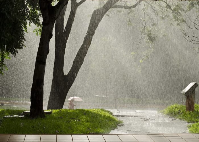 Kemarau di Musim Penghujan, Waspada Potensi Pancaroba di Indonesia