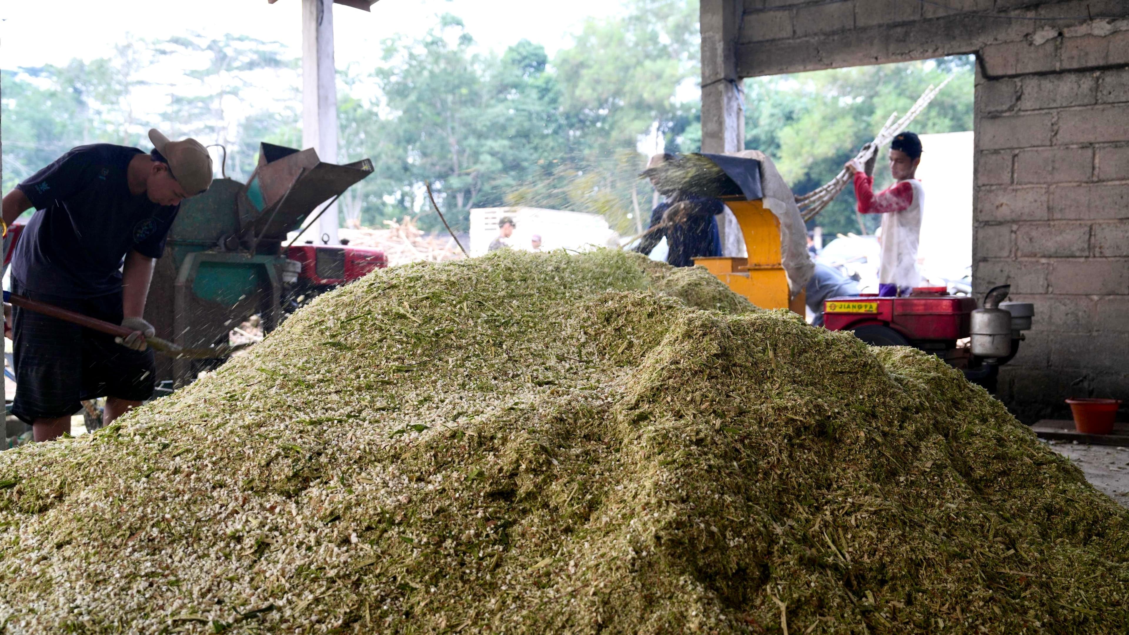 PLN EPI Perkuat ESG dan Inklusivitas demi Energi Bersih Berkelanjutan