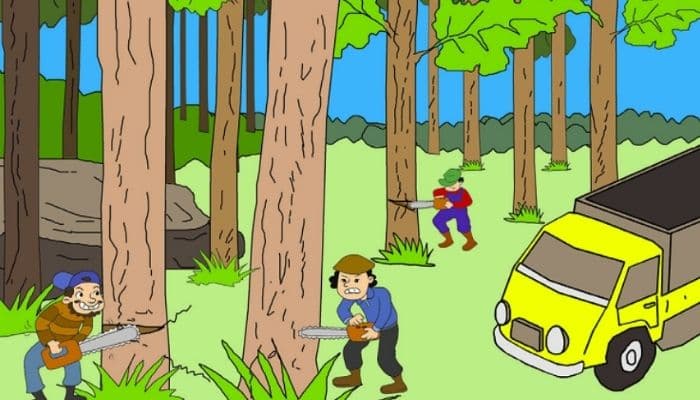 Manakah dari Berikut Ini yang Bukan Contoh dari Bentuk Interaksi Manusia dengan Lingkungan?