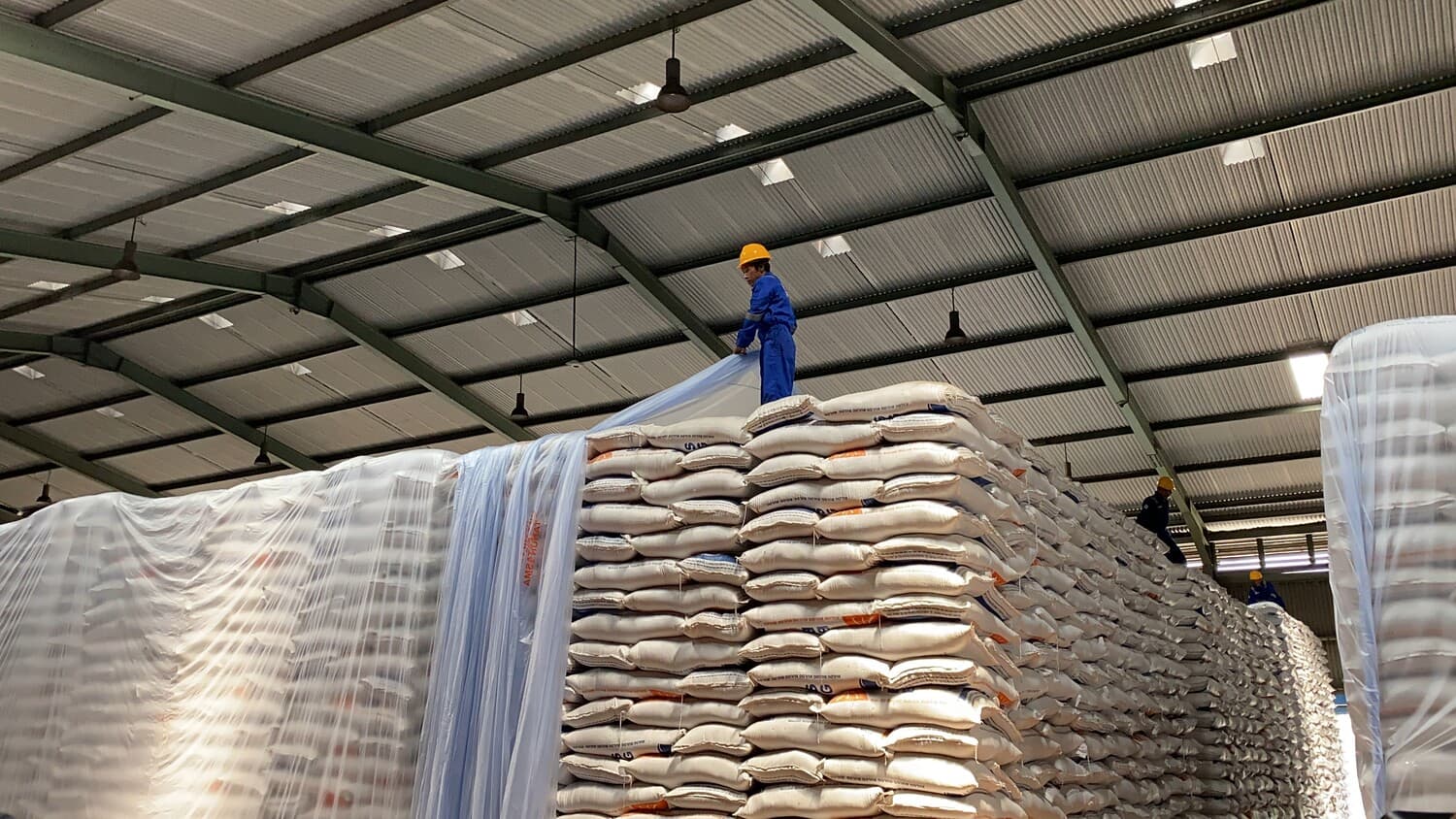 Target Pangan 2026 Melonjak, Produksi Beras Dibidik 34,77 Juta Ton