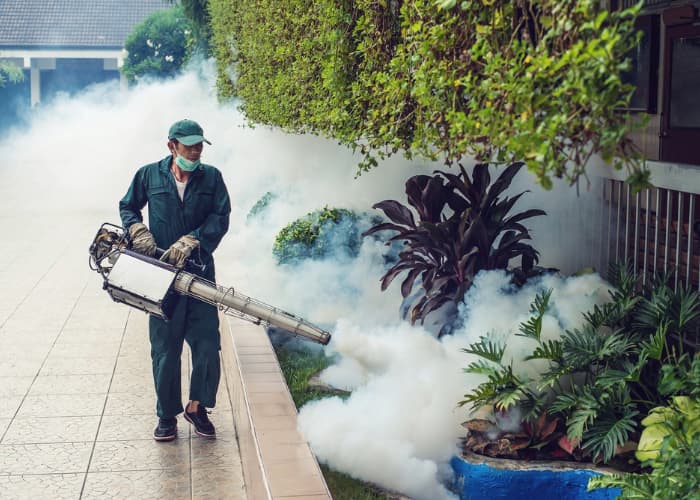 Mengapa Fogging Tidak Selalu Efektif Basmi Nyamuk DBD?