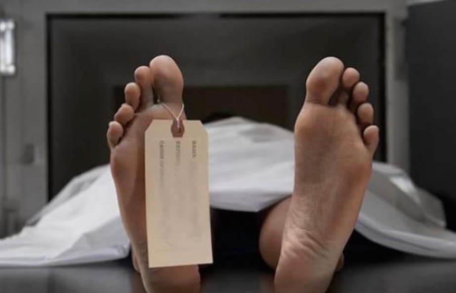 Tragedi Razia Imigrasi Korea Selatan, Mahasiswi asal Vietnam Tewas Jatuh dari Pabrik 