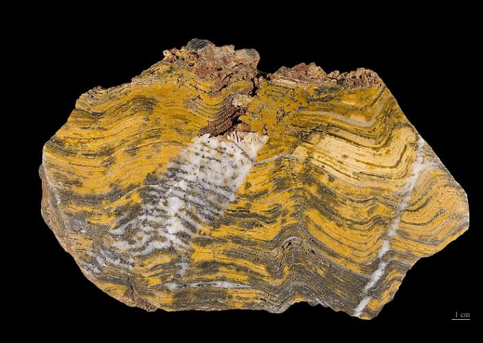 Apa Itu Stromatolit? Jejak Kehidupan Tertua Penghasil Oksigen