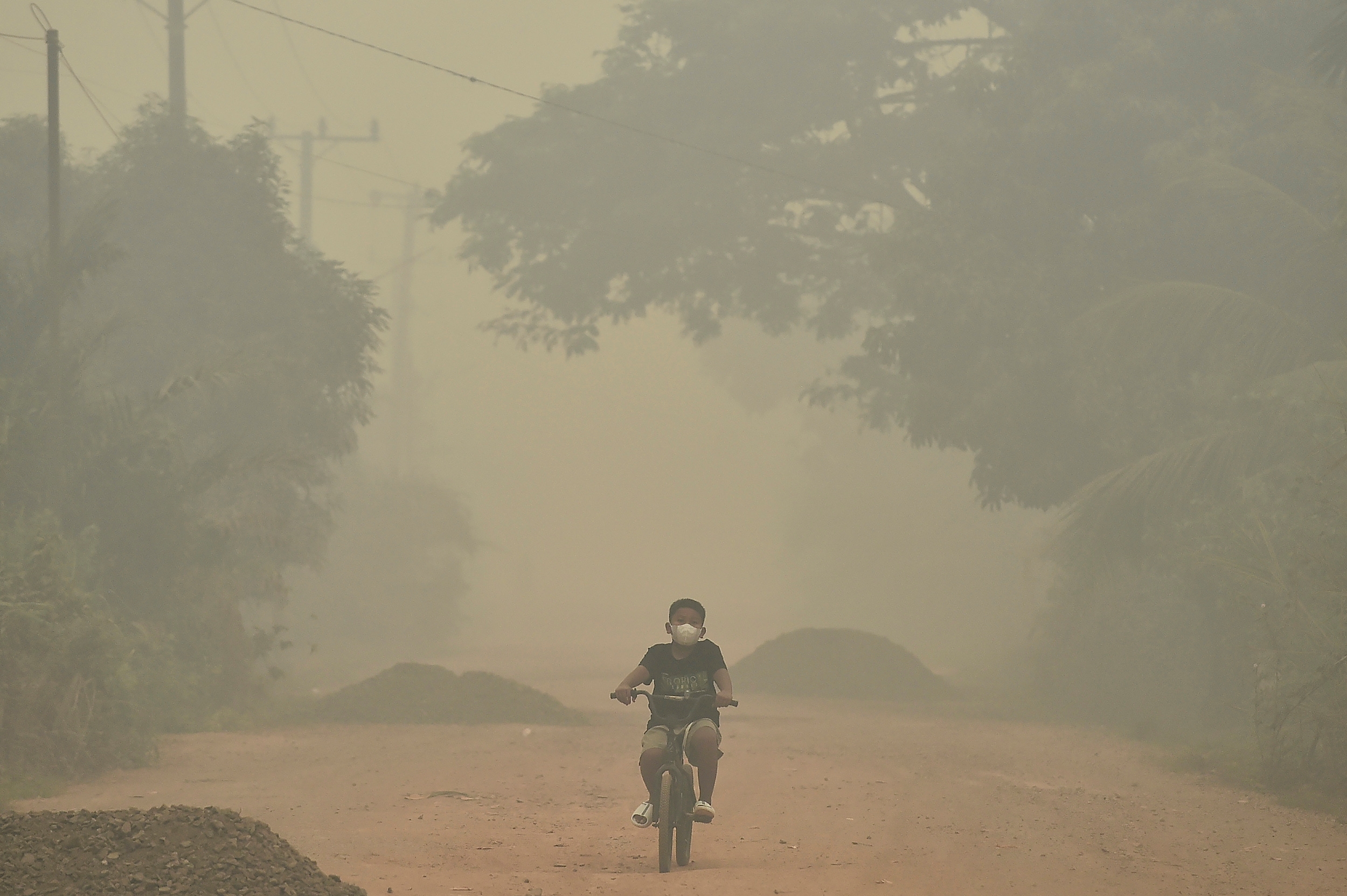 Kabut Asap Selimuti Kawasan Tanjung Jabung Timur