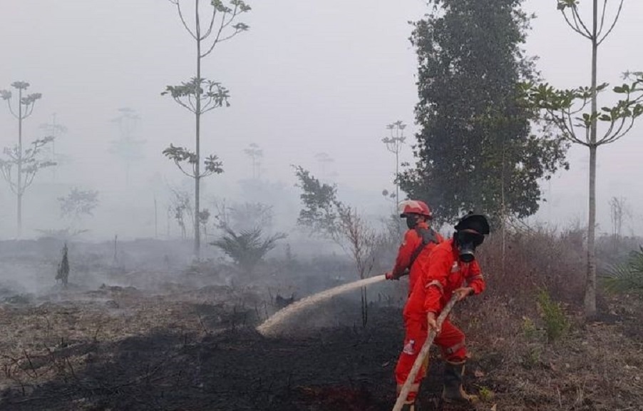 PDIP Kritik Penanganan Karhutla, Desak Moratorium Hutan