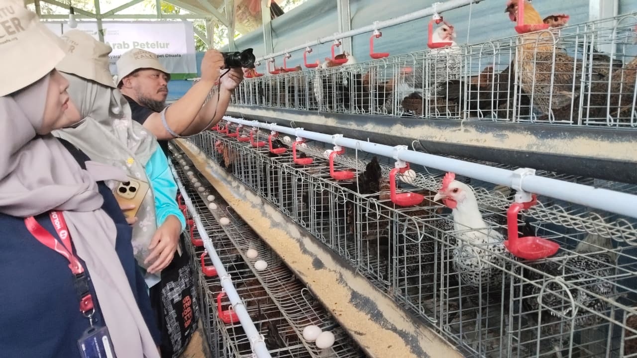 Zona Madina Jadi Etalase Program Pemberdayaan Dompet Dhuafa