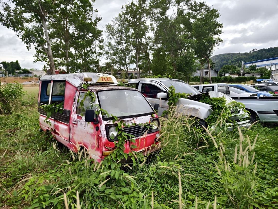 Rute GT Purwomartani di Google Maps Dihapus Imbas Pemudik Nyasar ke Sawah