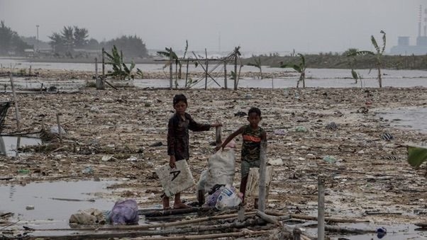 Dorong Pemulihan Ekonomi, Satgas PRR Segera Rehabilitasi Tambak dan Keramba Terdampak