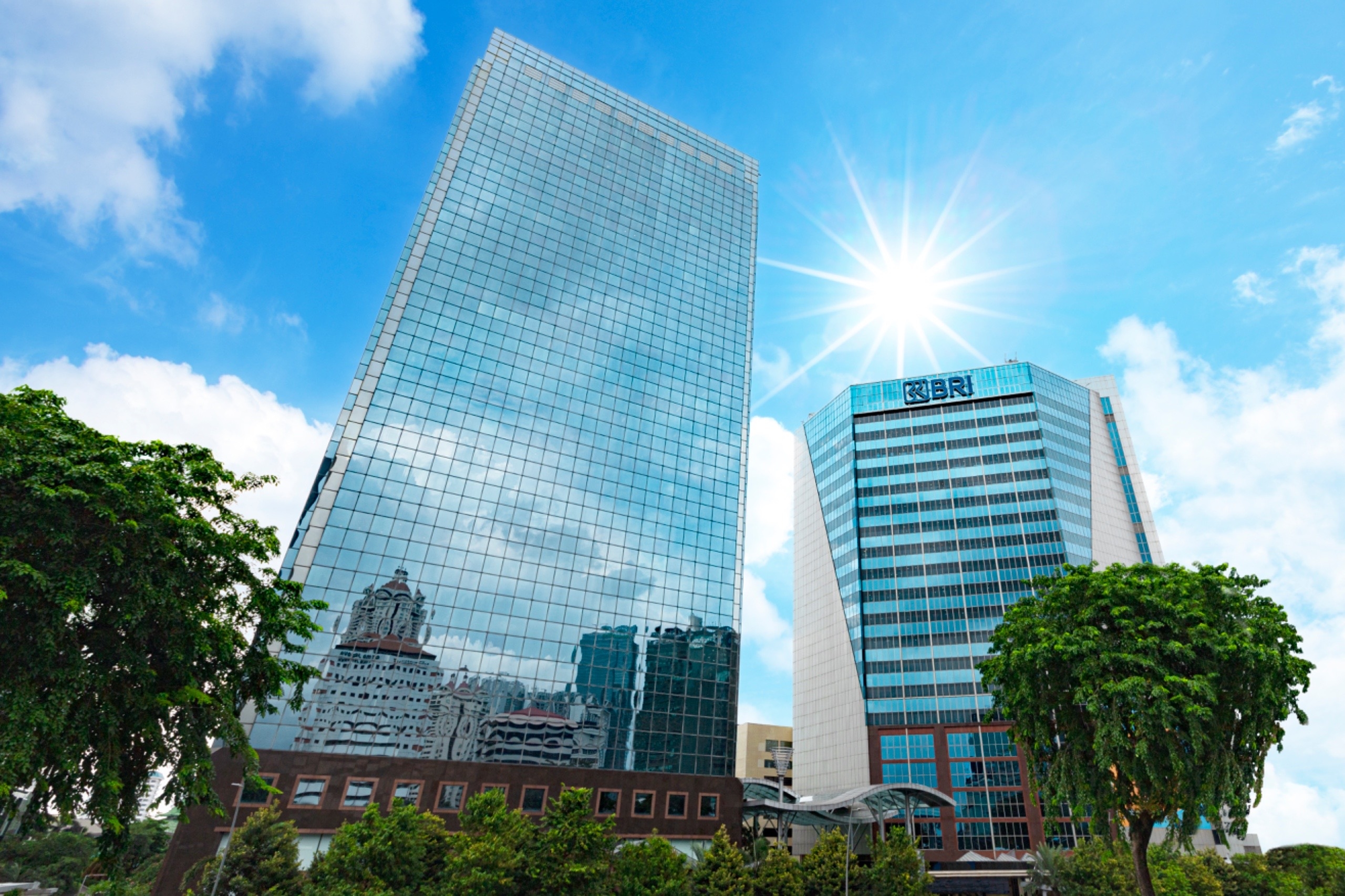 Momentum Earth Hour, BRI Dorong Keberlanjutan Melalui Aksi Nyata di Lingkungan Kerja