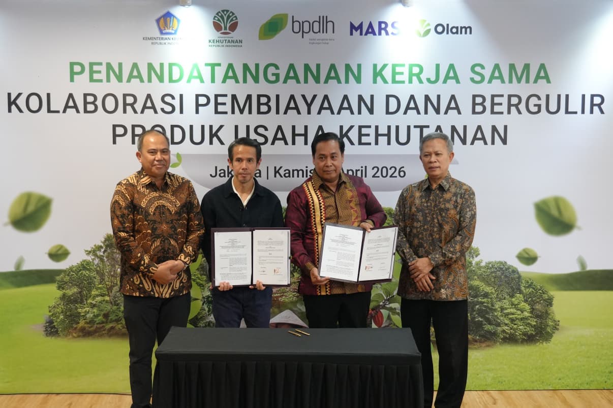 BPDLH Gandeng Swasta, Pilot Project Dana Hijau Dimulai