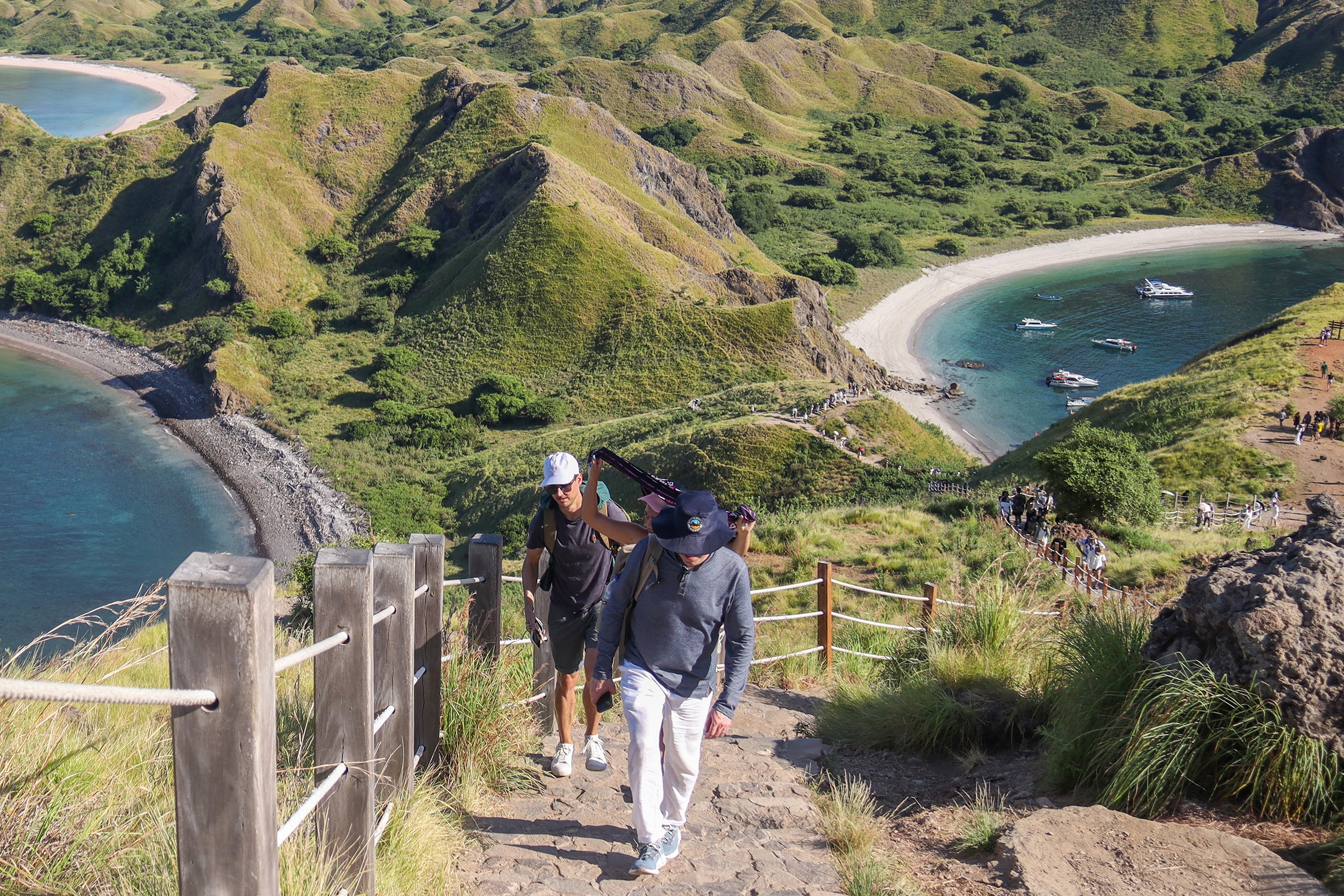 Pemerintah Batasi Wisatawan di Taman Nasional Komodo, Siapkan Destinasi Alternatif